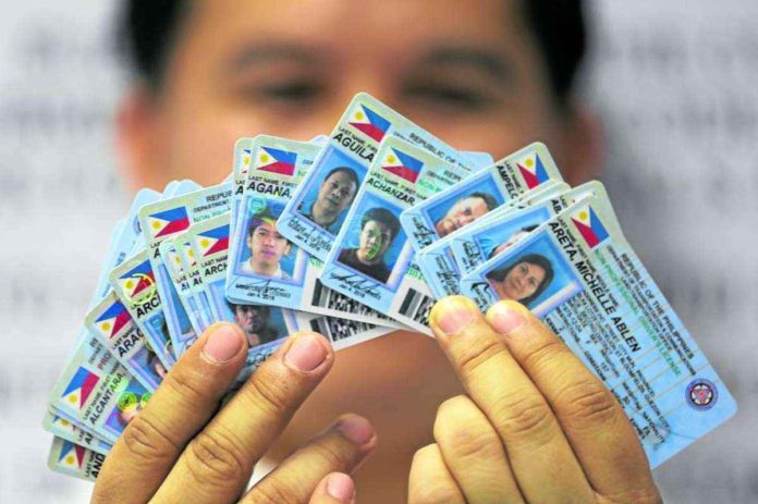 An employee of Land Transportation Office shows some driver’s licenses that have yet to be distributed. FILE PHOTO FROM INQUIRER / NIÑO JESUS ORBETA