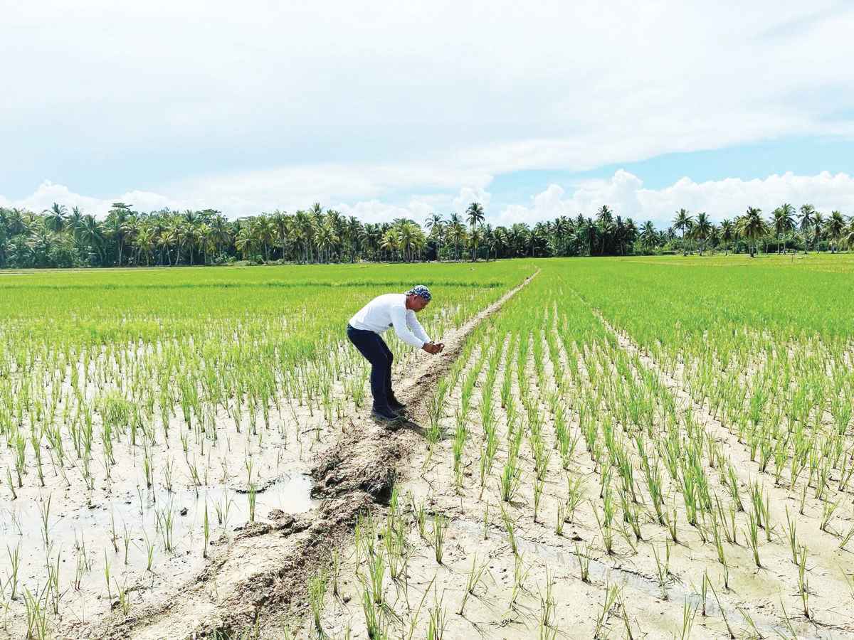 NegOcc braces for extended El Niño threat