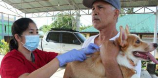 A man holds his pet dog while a veterinary worker administers a free vaccine shot against rabies in Laguna province. Despite being vaccine-preventable, rabies is the cause of more than 59,000 human deaths each year. In the Philippines, at least 200 deaths annually are caused by rabies. PIA