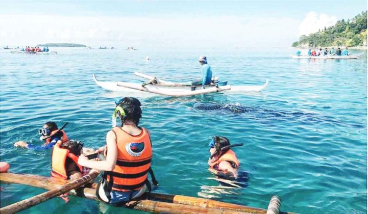 cebu tourist arrivals 2023