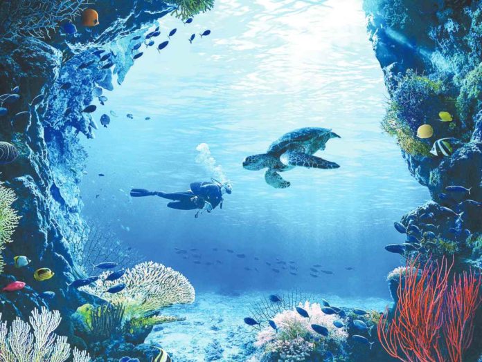 The Philippine dive industry’s P73-billion income in 2023 was almost double the P37 billion it generated in 2022. PHOTO COURTESY OF DEPARTMENT OF TOURISM