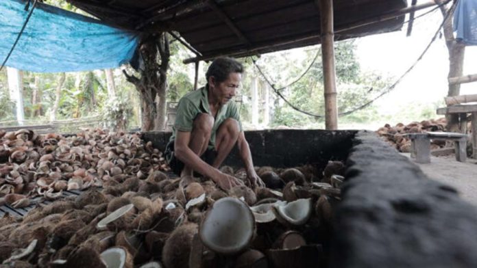 A coconut farmer works in his copra making shack in Unisan, Quezon. PHOTO BY DELFIN T. MALLARI JR., PHILIPPINE DAILY INQUIRER