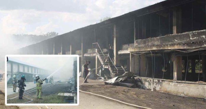 Thousands of live chicks turned to ashes in a blaze that erupted at a poultry farm in New Lucena, Iloilo, on Wednesday noon, February 28. A “fire out” was declared by 3:55 p.m. AJ PALCULLO/PN