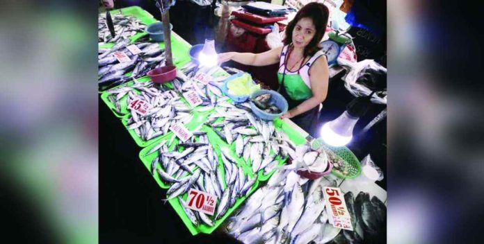 The lifting of the closed fishing season for round scad in Northern Palawan will result in a boost in supply for the fish in the local market. RAPPLER PHOTO