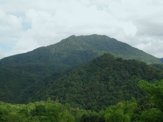 MT PORRAS. Sibalom Natural Park in Sibalom, Antique, teeming with a diverse flora and fauna, is located at the 6,778.44 hectares area in Mt. Porras.