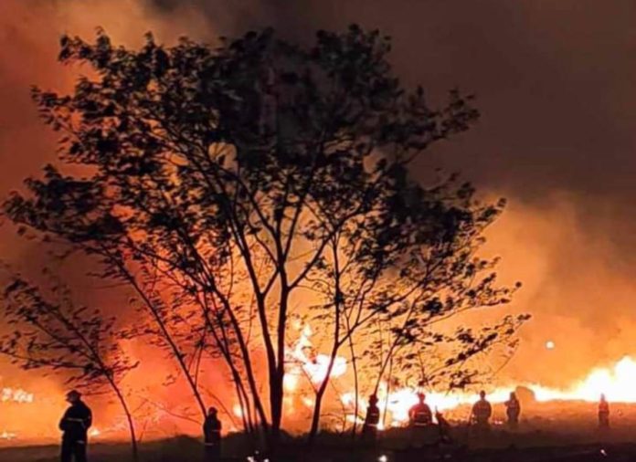 A grass fire hit a vacant area in Barangay Banago, Bacolod City on Monday night, April 1. BFP-BACOLOD CITY FIRE STATION