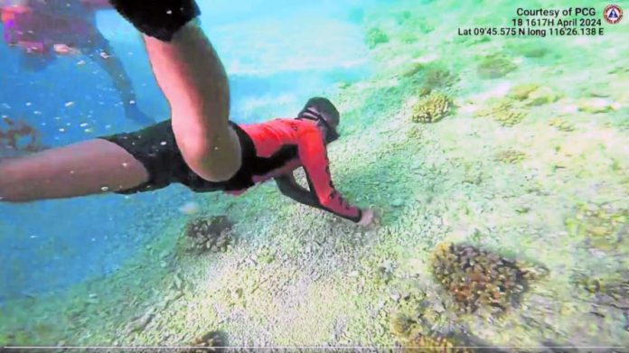 On the surface and underwater, Philippine Coast Guard divers find piles of dead corals in Escoda (Sabina) Shoal, taking them as signs of another island-building activity by the Chinese. PHOTO FROM THE X POSTS OF PCG SPOKESPERSON COMMODORE JAY TARRIELA