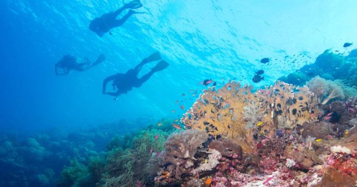 The Department of Tourism is ramping up efforts to position Boracay Island as a good alternative dive destination in the Philippines. GUIDETOTHEPHILIPPINES.PH PHOTO