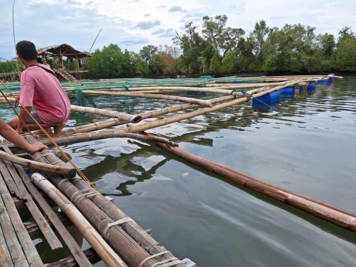 The New Washington local government, Bureau of Fisheries and Aquatic Resources, Municipal Agriculture Office, Municipal Environment and Natural Resources Office, New Washington police, and Philippine Coast Guard conduct an ocular inspection at Lagatik River in Barangay Polo, New New Washington, Aklan affected by oil spill. MAYOR JESSICA PANAMBO/FACEBOOK PHOTOS