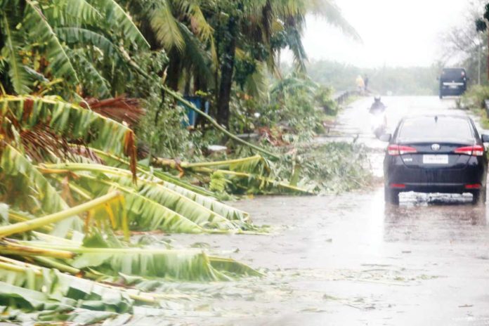 Strong winds brought about by Typhoon Aghon fell trees in San Juan, Batangas. The onset of the wet season in the country may be caused by Typhoon Aghon, which is forecast to enhance the southwesterly wind flow and bring rain over the western portions of Luzon and Visayas. PNA