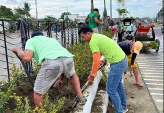 Personnel of the Iloilo City Government prepare for the tree-growing activities along Diversion Road in Mandurriao district as the rainy season starts. NEIL RAVENA/FACEBOOK PHOTO