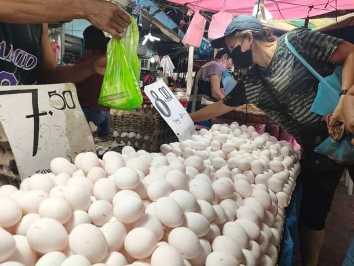 The increase in egg sizes following the end of El Niño has allowed farmers to sell their produce at slightly higher prices. PN FILE PHOTO