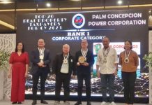 Palm Concepcion Power Corp. is Iloilo Province’s top real property taxpayer (corporate category) in 2023. The provincial government honored it with a citation during an awards ceremony on June 26, 2024.