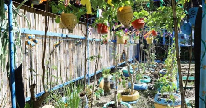 Vegetables are grown using recycled plastic bottles and tires in Barangay Nabitasan, La Paz, Iloilo City. DA 6 REGIONAL AGRI-FISHERY INFORMATION SECTION PHOTO