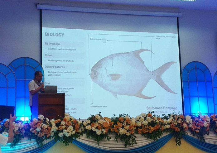 Dr. Roger Edward Mamauag of the Southeast Asian Fisheries Development Center (SEAFDEC) discusses nursery and grow-out operations for Pompano fish, emphasizing its potential profitability and viability as an alternative to milkfish, during a forum on July 9 in Tigbauan, Iloilo. The forum was part of SEAFDEC’s 51st anniversary celebrations. IME SORNITO/PN