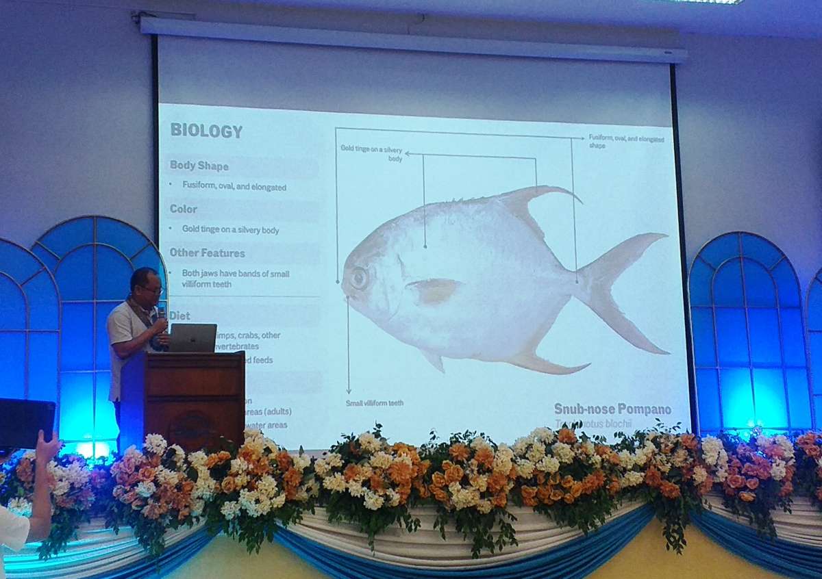 SEAFDEC champions aquaculture innovation