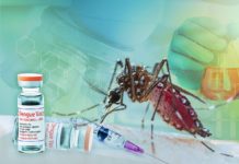 Several doctors’ groups have urged the Food and Drug Administration to approve the QDENGA dengue vaccine, noting that the Philippines lags behind its neighboring countries when it comes to vaccinating against dengue.