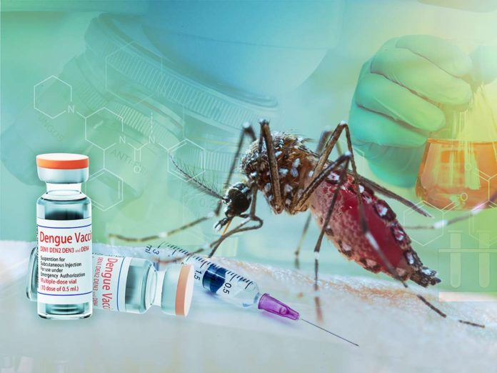 Several doctors’ groups have urged the Food and Drug Administration to approve the QDENGA dengue vaccine, noting that the Philippines lags behind its neighboring countries when it comes to vaccinating against dengue.