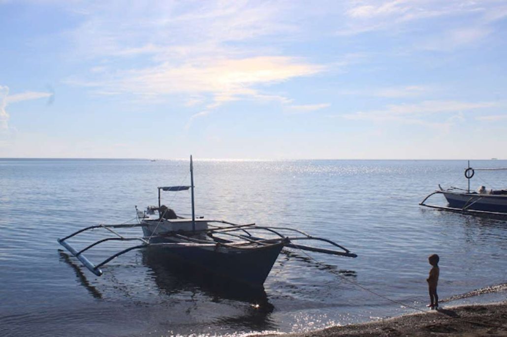 Western Visayas coastal waters safe from red tide