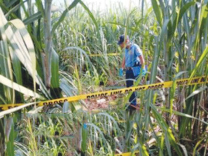 A 15-year old girl from Barangay Sum-ag, Bacolod City was found dead inside the sugarcane field in Hacienda San Roque, Barangay Cubay, La Carlota City, Negros Occidental on August 14. LA CARLOTA CITY POLICE STATION PHOTO