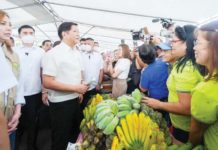 President Ferdinand R. Marcos Jr. vows to expand the Kadiwa ng Pangulo program in the Visayas and Mindanao, as well as the rollout of the African Swine Fever vaccine to ensure ample pork supply and further bring down the prices of commodities. PHILIPPINE COMMUNICATIONS OFFICE PHOTO