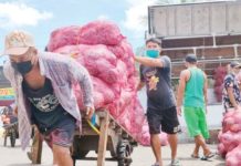 The current minimum daily wage rates in Western Visayas are P480 for non-agricultural sectors employing more than 10 workers, P450 for those employing 10 or fewer, and P440 for workers in agriculture. Photo shows porters unloading agricultural products at the Iloilo Terminal Market in Iloilo City. PN FILE PHOTO