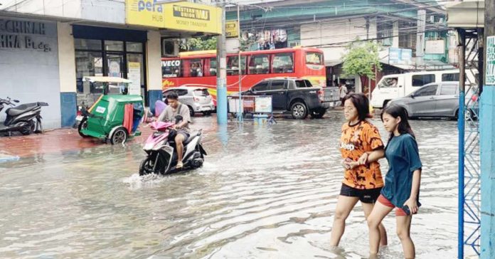 People exposed to flood and sewage water are at great risk of leptospirosis, and those working in farms handling livestock such as hogs, cows, sheep, and goats because these animals can also get the disease. PHOTO BY POT CHAVEZ