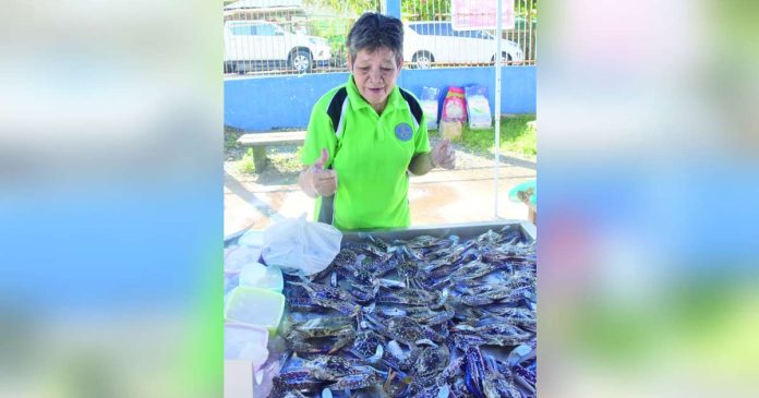 The Blue Swimming Crab (BSC) Adopt-a-Village Project in Manapla, Negros Occidental aims to improve the socio-economic conditions of the BSC fishers and other community members through profitable social enterprise. PROVINCIAL GOV’T OF NEGROS OCCIDENTAL/FB PHOTO