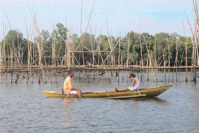 The coastal waters of Camanci and Mambuquiao in Batan, Altavas and New Washington in Batan Bay, Aklan are safe from the red tide toxin, according to the Bureau of Fisheries and Aquatic Resources.