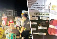 A 44-year-old government employee was caught during a drug sting on Oct. 28, 2024 in Barangay Mclain, Buenavista, Guimaras. Authorities seized P35,000 worth of shabu and a caliber .38 revolver. PDEA REGION 6 PHOTOS