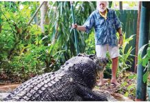 Green Island Marineland Melanesia's George Craig stands with Cassius the crocodile at the Marineland Melanesia on Green Island, Queensland, Australia. EPA