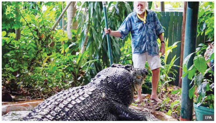 Green Island Marineland Melanesia's George Craig stands with Cassius the crocodile at the Marineland Melanesia on Green Island, Queensland, Australia. EPA