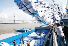 Vietnam delivered 3.04 million metric tons of rice in the Philippines as of Nov. 7, 2024. VIETNAM NEWS AGENCY PHOTO