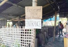 A hog farm in San Jose de Buenavista validated as free from African Swine Fever (ASF) on May 31, 2024. ANTIQUE PROVET PHOTO