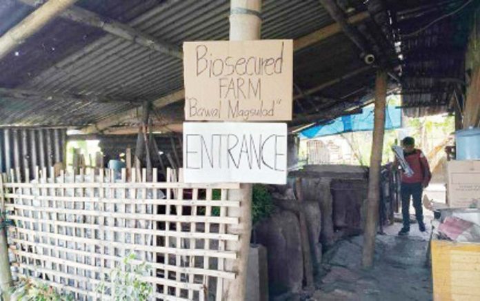 A hog farm in San Jose de Buenavista validated as free from African Swine Fever (ASF) on May 31, 2024. ANTIQUE PROVET PHOTO