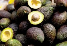 The Hass avocado, known for its smaller size and pebbly skin that turns purplish-black when ripe, is particularly well-suited to Japanese preferences. PHOTO COURTESY OF INQUIRER.NET