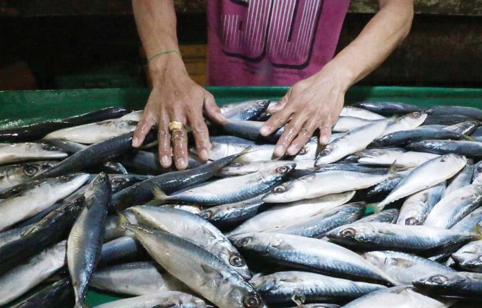 The Department of Agriculture will allow the imports of 8,280 metric tons of fish for retail in wet markets. GRIG C. MONTEGRANDE/INQUIRER.NET