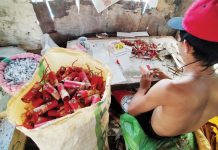 The Bureau of Fire Protection in Western Visayas recommends storing firecrackers in secure locations, away from children and excessive heat, and advises against setting off fireworks while under the influence of alcohol this upcoming holiday season. PN PHOTO