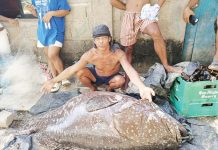 Fisherman Blas Prado shows the 136-kilogram giant grouper or pugaro he caught off the coast of Libertad, Antique on Thursday, Nov. 7, 2024. MARK CHRISTIAN AGUSTIN PHOTO