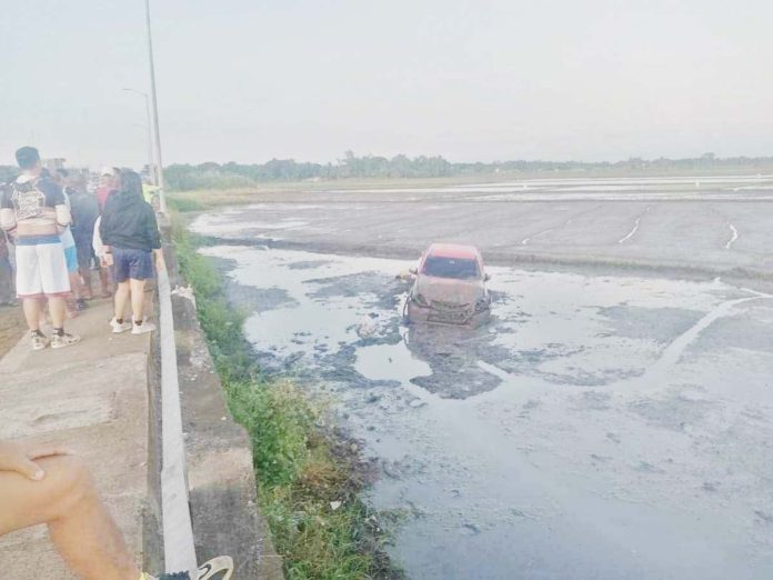 This pickup accidentally overshot the road and fell into a rice field in Barangay Tabucan, Barotac Nuevo, Iloilo early Monday morning, Nov. 25, 2024. Police said the 21-year-old driver from Banate town was unharmed. RAPURA PHOTO