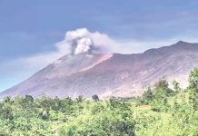 Mt. Kanlaon emitted gray ash from 7:20 a.m. to 07:39 a.m. on November 1, 2024. According to the Philippine Institute of Volcanology and Seismology, these events generated light-gray plumes that rose 800 meters above the crater before drifting northwest-west. SCREENSHOT FROM CANLAON CITY OBSERVATION STATION IP CAMERA VIDEO