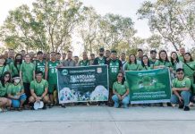 MORE Electric and Power Corporation employee volunteers led the mangrove planting and coastal clean-up in Barangay Hinactacan, La Paz, Iloilo City on Nov. 5, 2024.