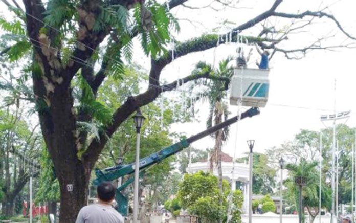 Personnel of the city government start to hang Christmas lights on trees at the Bacolod Public Plaza on Monday, Dec. 2, 2024. Under the adopt-a-tree program, the plaza will light up starting Dec. 10. PHOTO COURTESY OF BACOLOD CITY PIO