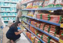 Department of Trade and Industry (DTI) - Antique monitoring officer Cherry Ann Santosildes checks the prices of ‘noche buena’ products in a store in San Jose de Buenavista on Nov. 25, 2024. DTI-ANTIQUE PHOTO