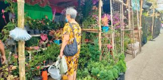 A garden show is a regular fixture of the annual Jaro fiesta in Iloilo City. It showcases beautiful ornamental plants. AJ PALCULLO/PN