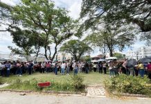 EVACUATED BUT CALM. Iloilo Provincial Capitol employees gather at the designated evacuation area in front of the National Museum - Western Visayas Regional Museum following tremors felt in Iloilo City on January 23. Photo of by Pia Alyssa Gellada/ WVSU Intern