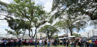 EVACUATED BUT CALM. Iloilo Provincial Capitol employees gather at the designated evacuation area in front of the National Museum - Western Visayas Regional Museum following tremors felt in Iloilo City on January 23. Photo of by Pia Alyssa Gellada/ WVSU Intern