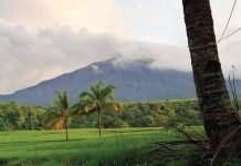 Mt. Kanlaon as seen from Barangay Manghanoy, La Castellana, Negros Occidental at 6:18 a.m. on Sunday, January 12, 2025. JIANNA ALDRIN ALDRIN PHOTO