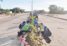 Personnel of the Iloilo City Government Beautification Program planted ornamental plants on the center island of Iloilo Sunset Boulevard, providing a fresh sight for viewers and passersby. ILOILO CITY GOV'T BEAUTIFICATION PROGRAM/FB PHOTO