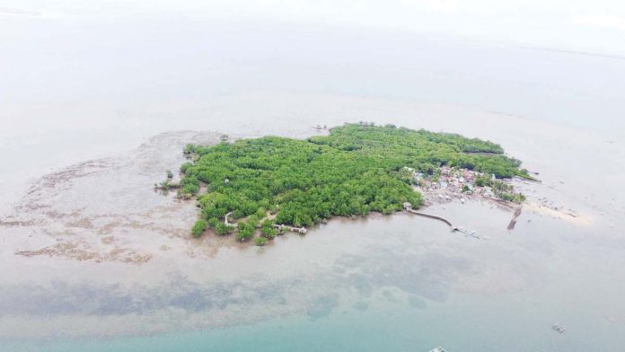 The Suyac Island Mangrove Eco-Park is the home of one of the oldest and biggest Sonneratia alba mangroves in Negros Island, and considered the first fully community-based eco-tourism site established by the Sagay City Government. SAGAY CITY LGU PHOTO